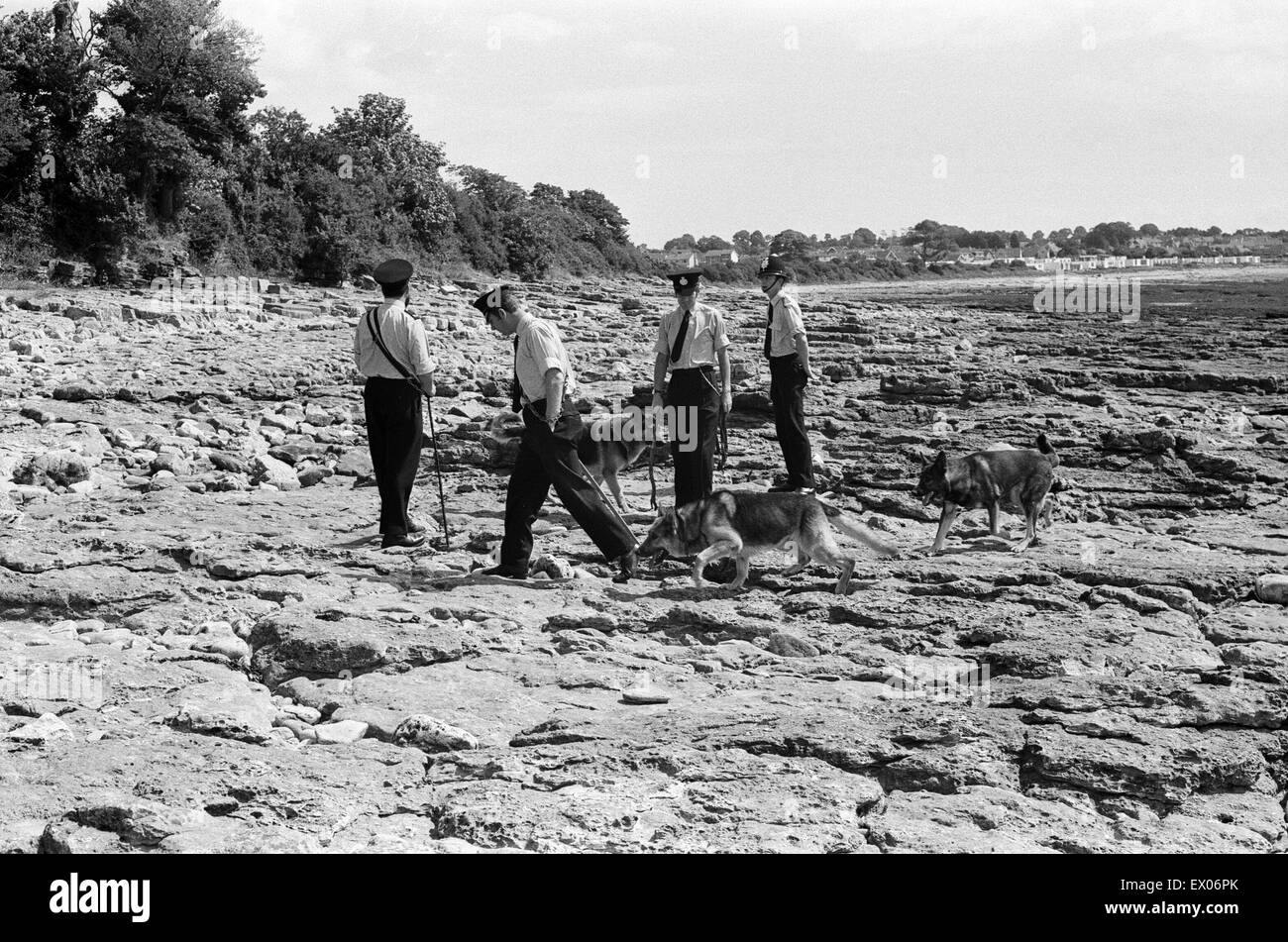 Police and tracker dogs search the beach at Sully, where Betty Elston was found murdered. 20th July 1971. Stock Photo