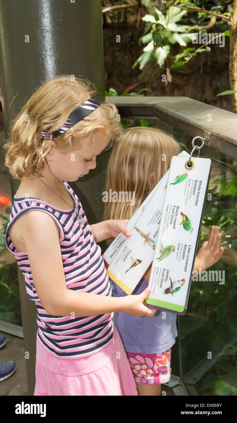 Child identifying bird species at a zoo with pictures and words Stock Photo
