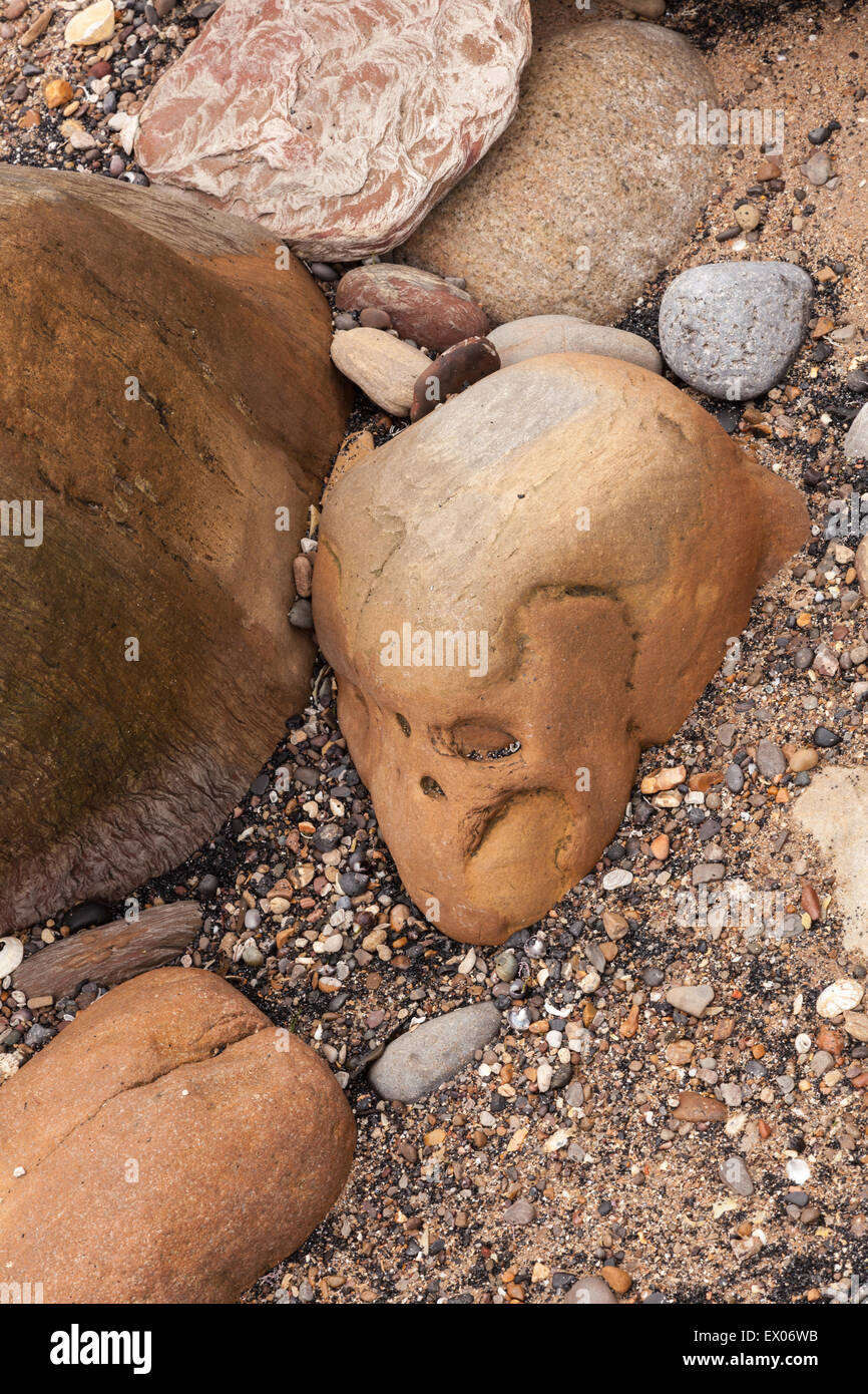 Skull like rock patterns on the beach at Collywell Bay, Seaton Sluice, Northumberland, England, UK Stock Photo