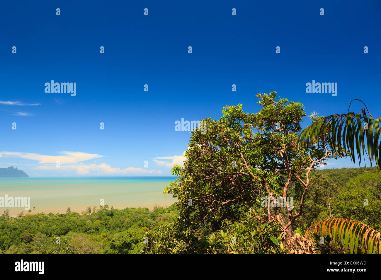 Jungle terrain hi-res stock photography and images - Alamy