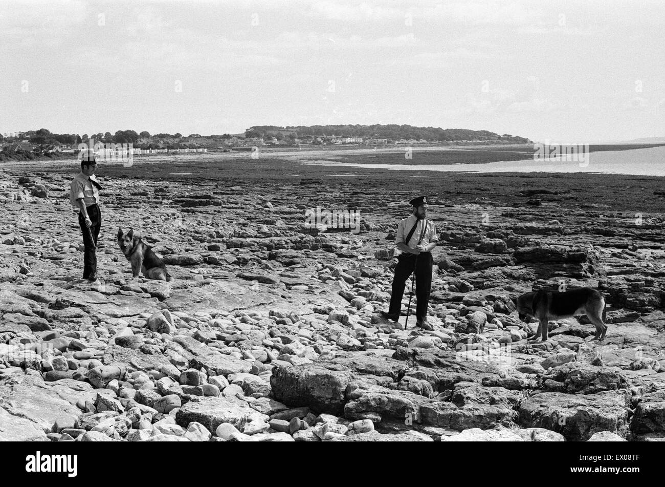 Police and tracker dogs search the beach at Sully, where Betty Elston was found murdered. 20th July 1971. Stock Photo
