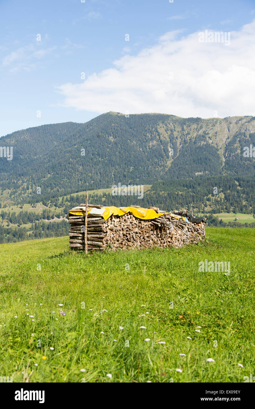 View of mountains and stacked logs,  Eckbauer bei Garmisch, Bavaria, Germany Stock Photo