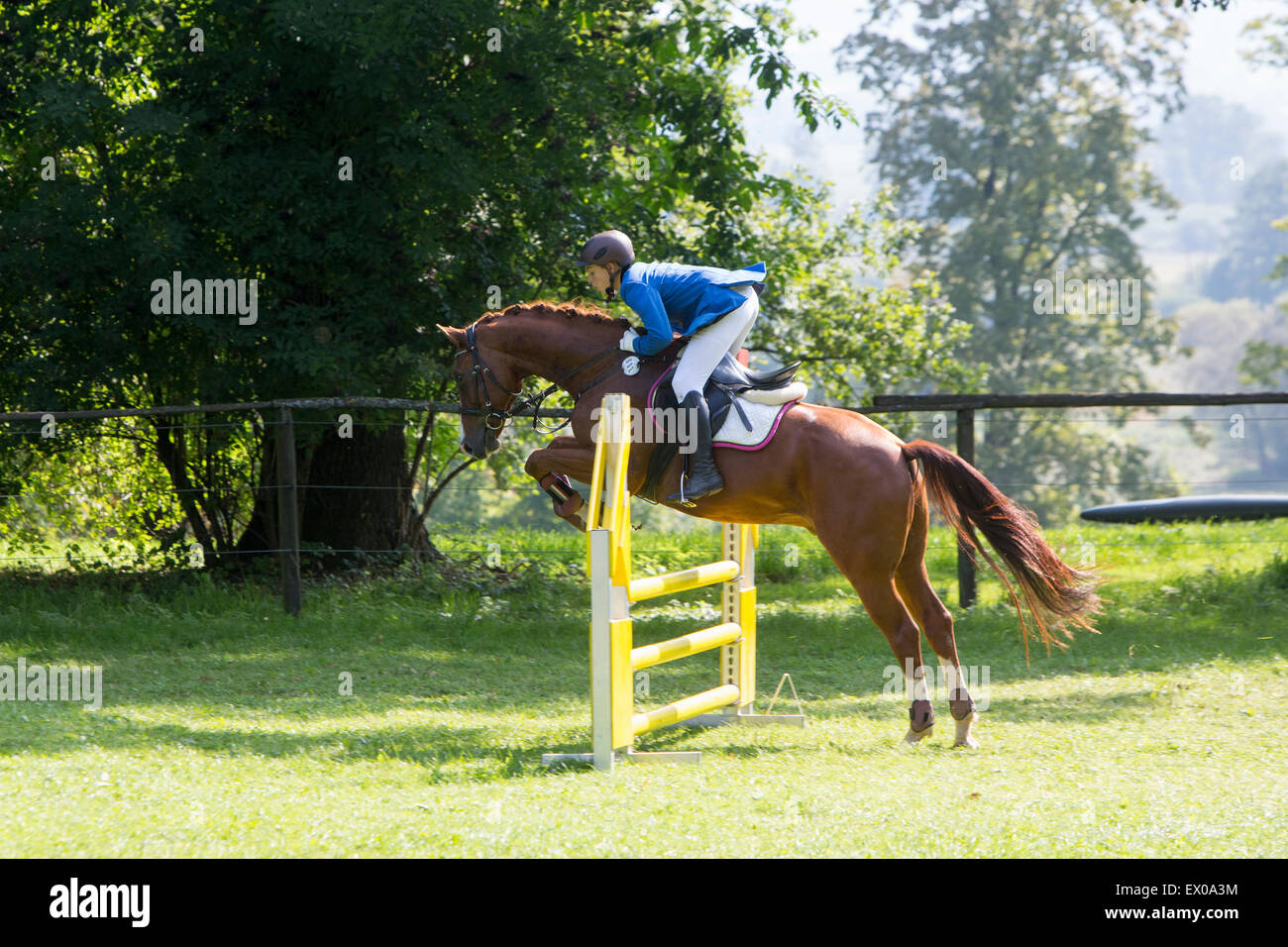 Horse and rider show jumping Stock Photo