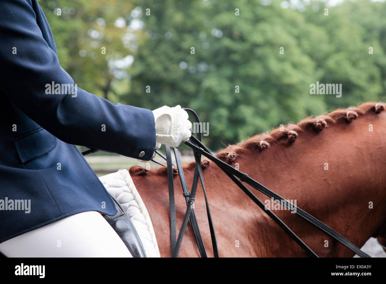 Horse and rider in dressage event Stock Photo