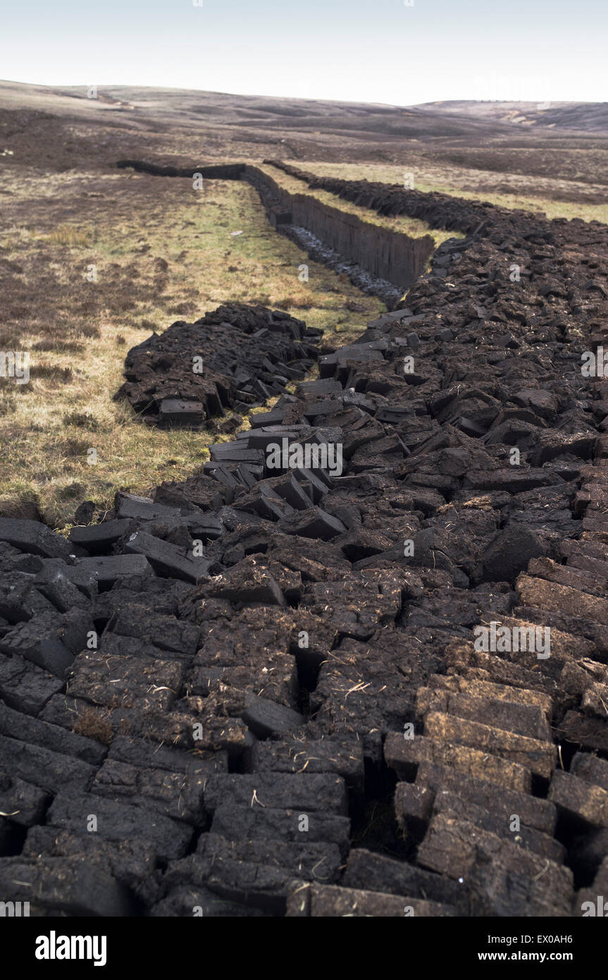 dh Peat bank PEAT UK Cut peat bog uk peat cutting scotland peatland turf fuel field harvesting Stock Photo