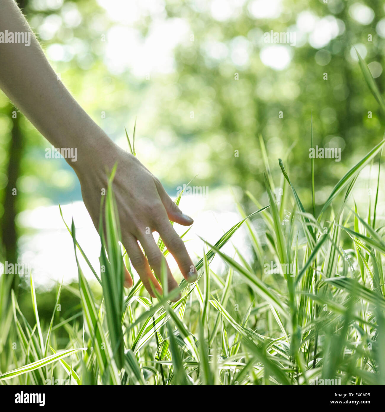 Touch grass