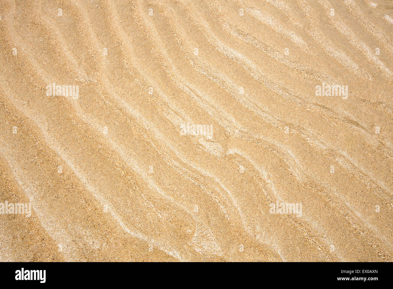 Beach sand surface texture natural hi-res stock photography and images ...