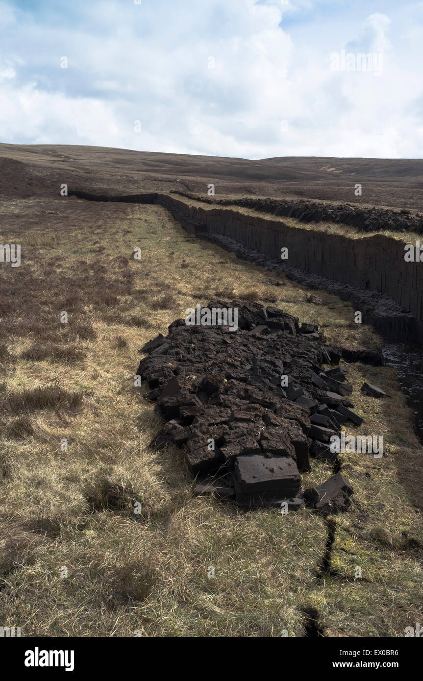 dh Peat bank PEAT UK Cut peat bog uk peat cutting scotland peatland turf fuel Stock Photo