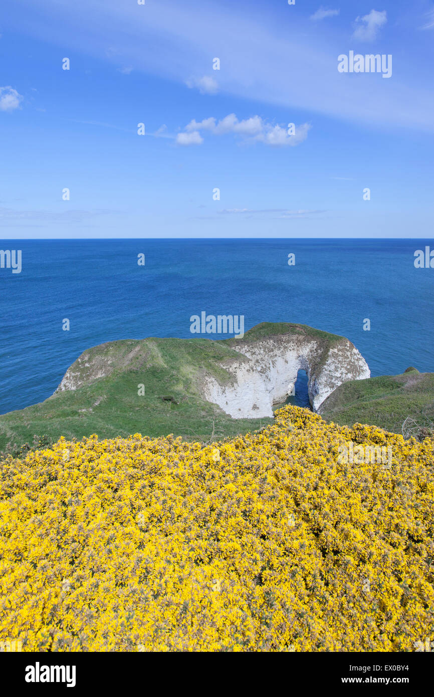 View out to the North Sea, from the path above Selwick Bay at Flamborough Head, Flamborough, East Yorkshire Stock Photo