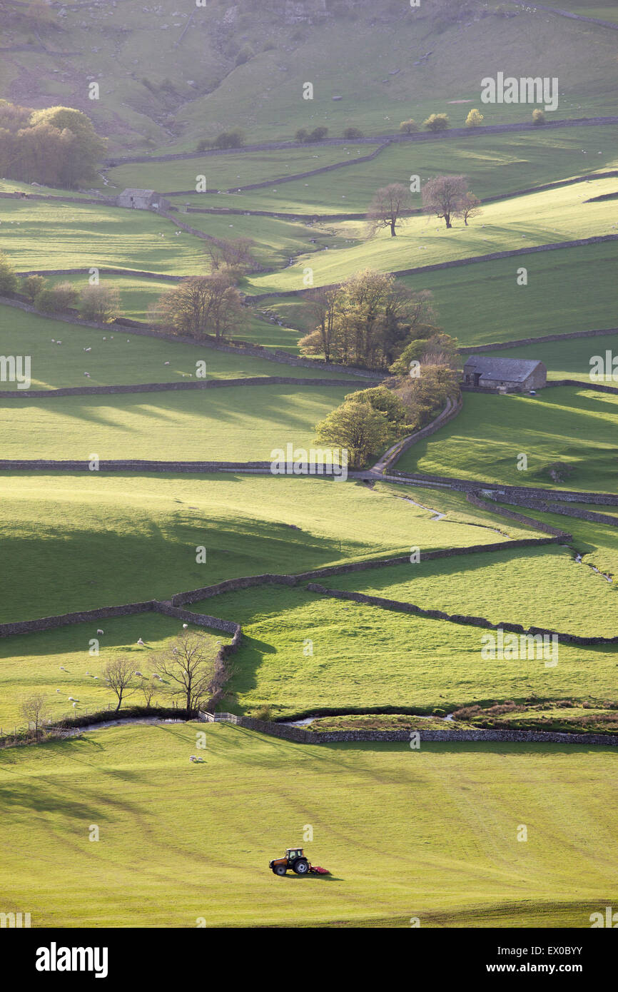 A tractor working sunlit meadows close to Austwick Village near Settle, Craven District, North Yorkshire, UK Stock Photo