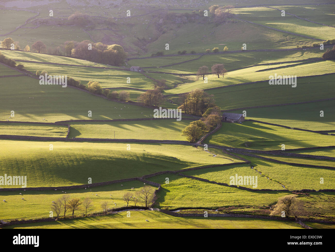 Sunlit meadows close to Austwick Village near Settle, Craven District, North Yorkshire, UK Stock Photo