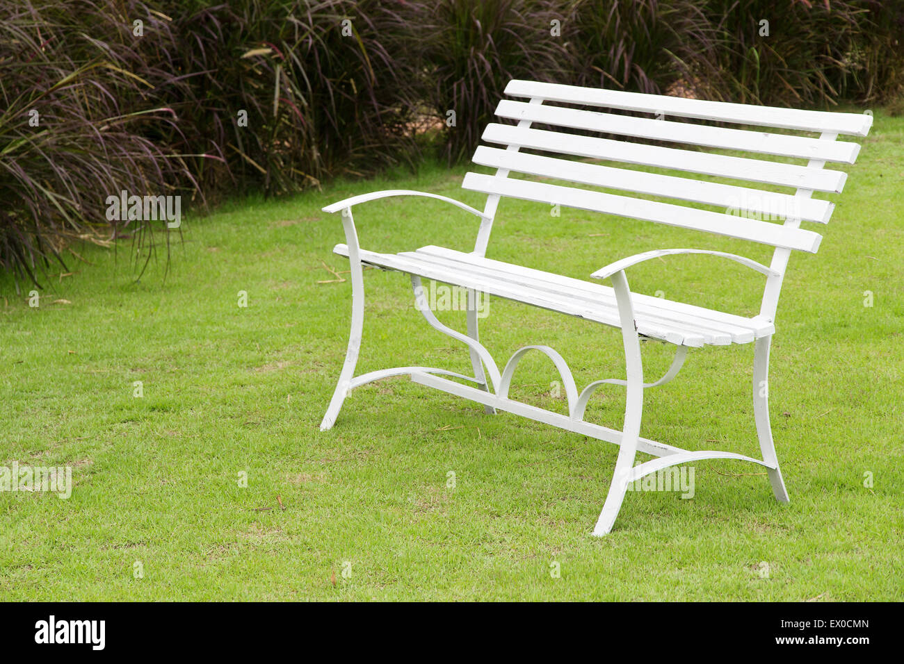 Bench in the park Stock Photo - Alamy
