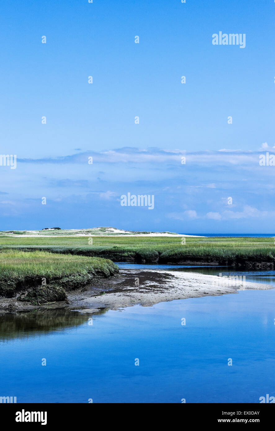 Salt marsh coastal landscape, Sandy Neck, Barnstable, Cape Cod, Massachusetts, USA. Stock Photo