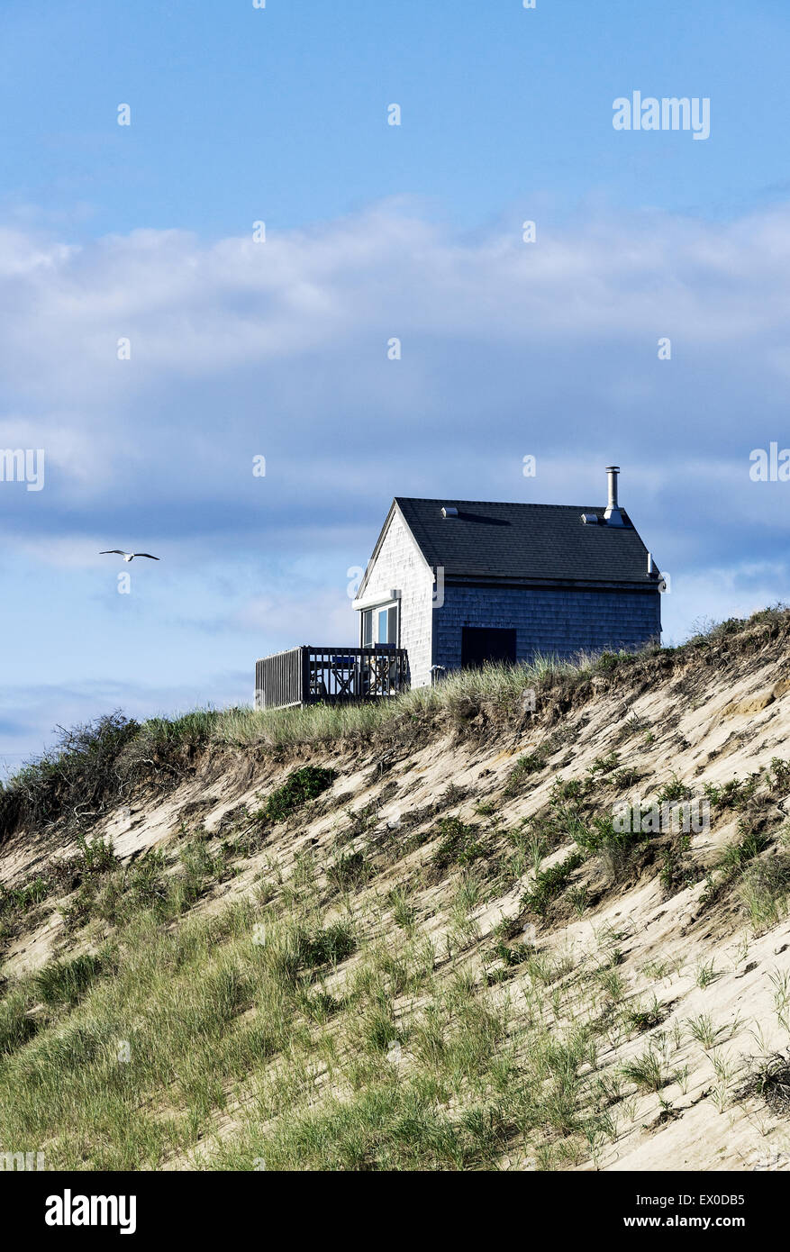 Coastal beach cottage, Wellfleet, Cape Cod, Massachusetts, USA Stock Photo