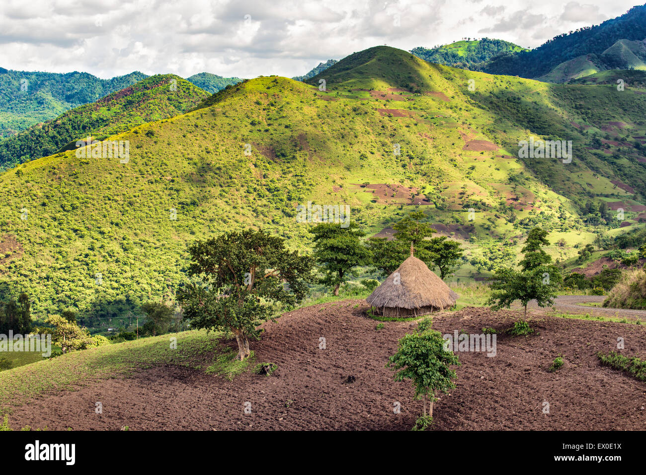 Traditional ethiopian hut in the Bonga forest reserve in southern Ethiopia Stock Photo