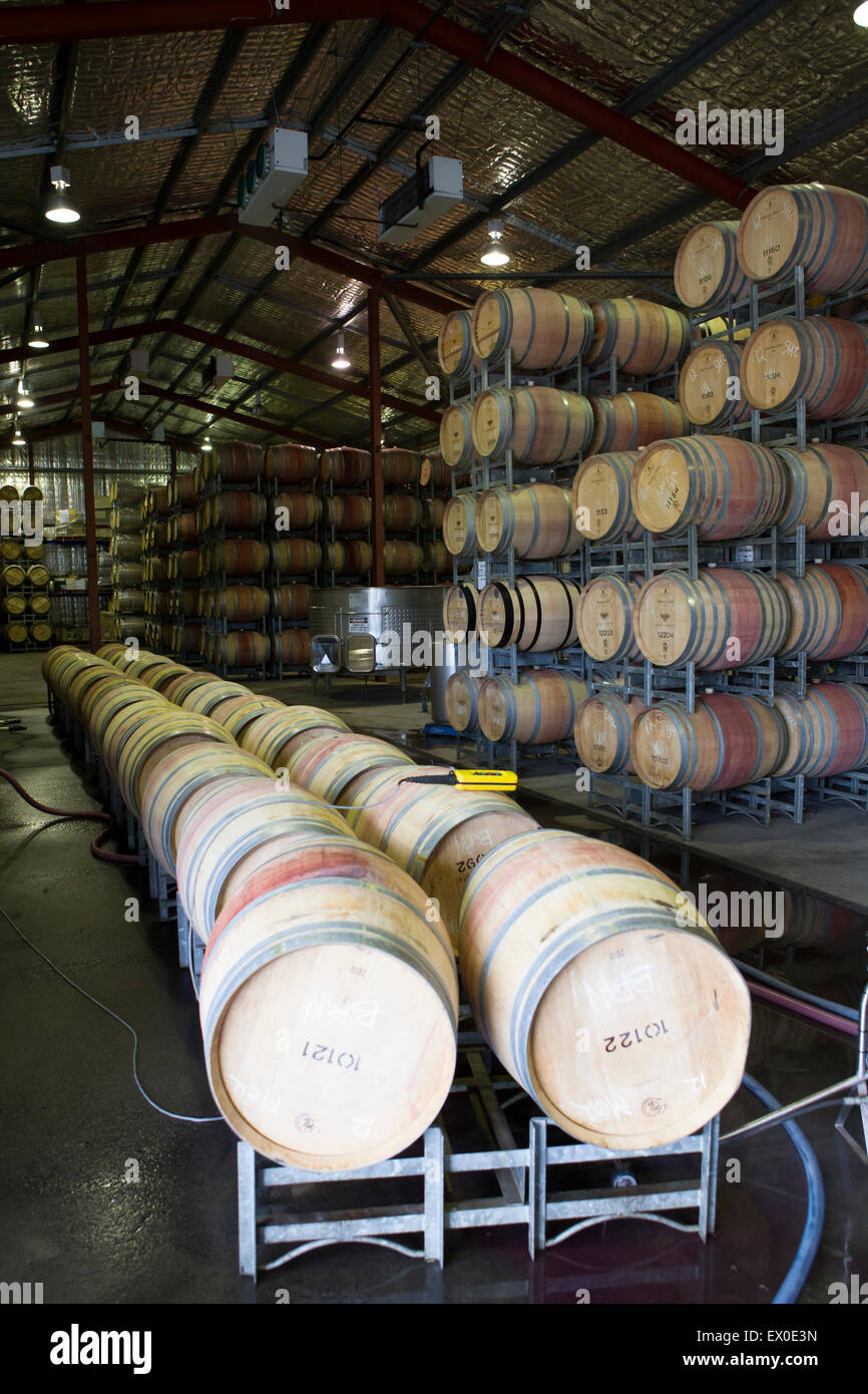 Barrels of wine in storage at Voyager estate winery, Margaret River