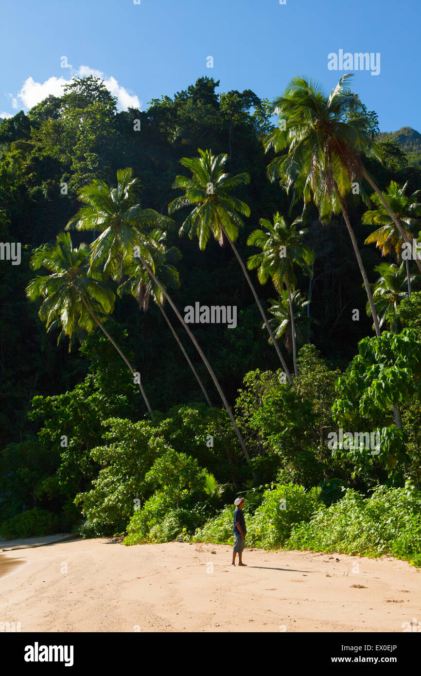 A man standing on a pristine, tropical sandy beach ornamented with coconut trees and hill in Saleman, North Seram, Central Maluku, Maluku, Indonesia. Stock Photo