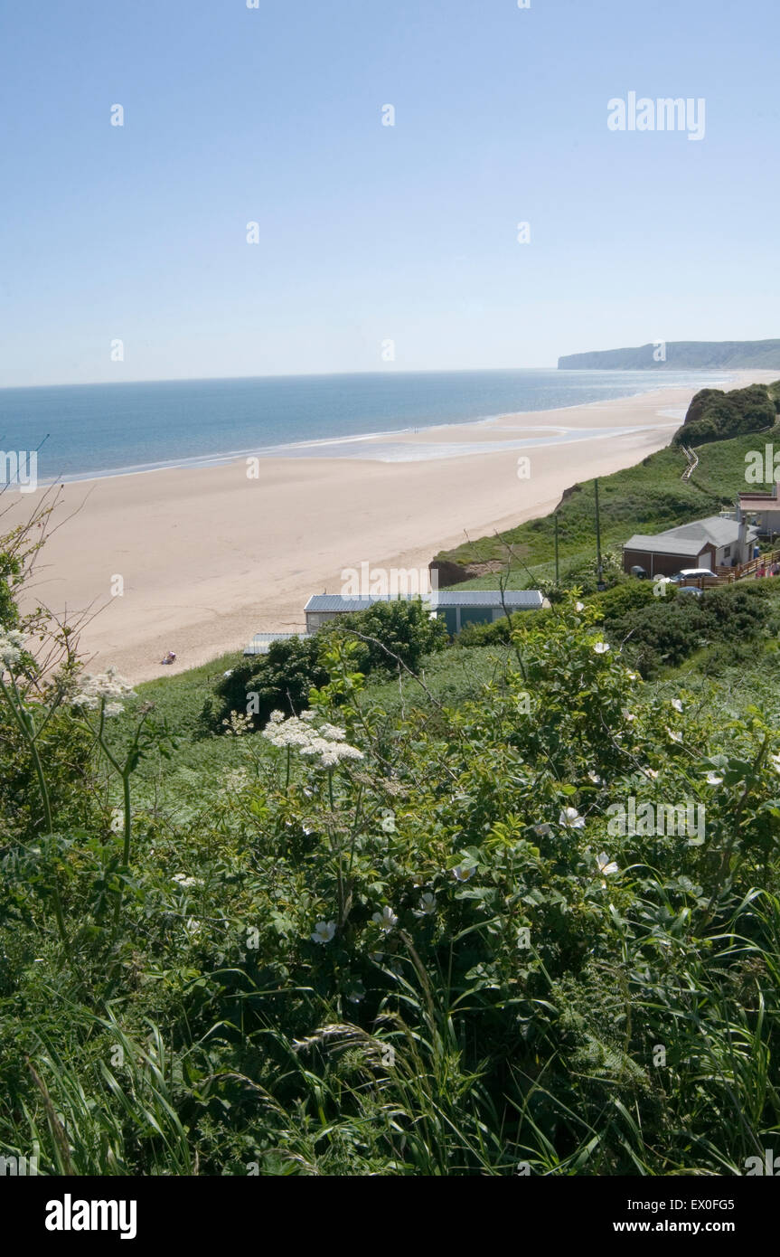 hunmanby gap beach in yorkshire beaches sand sandy wide open space