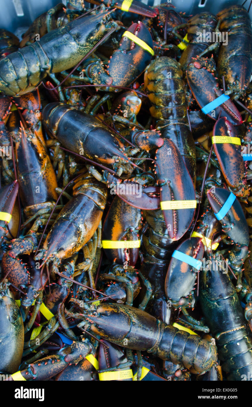 Southwest harbor maine hires stock photography and images Alamy