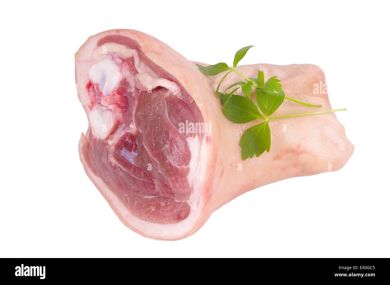raw knuckle of pork on white background Stock Photo