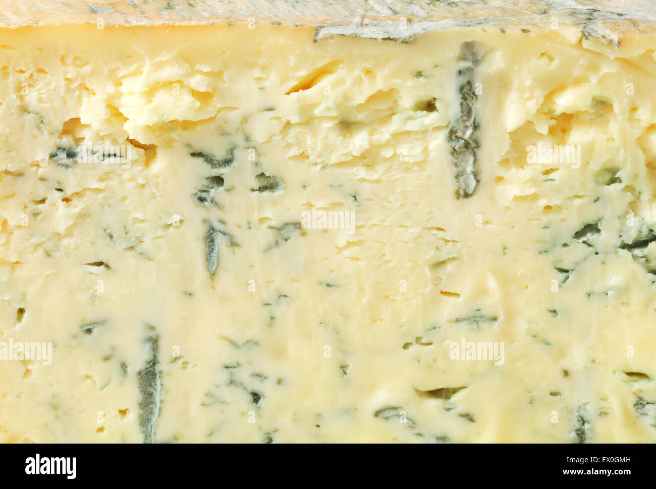 Detail of blue cheese - full frame Stock Photo