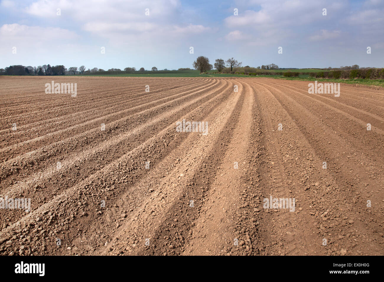 Fridaythorpe High Resolution Stock Photography And Images Alamy