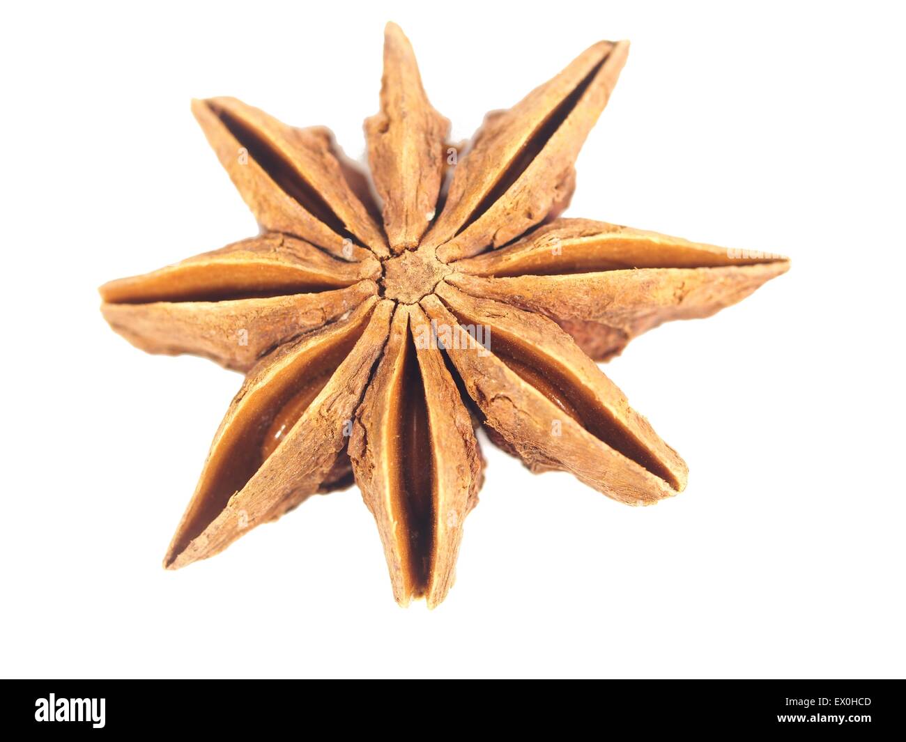 anise star with seed on white background ( pimpinella anisium ) Stock Photo