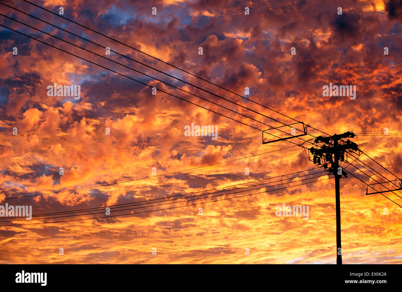 Telephone Lines silhouette over Bright Sunset Clouds Stock Photo Alamy