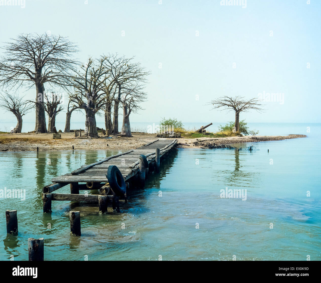 Fort James landing pier and baobab trees, Kunta Kinteh island, James