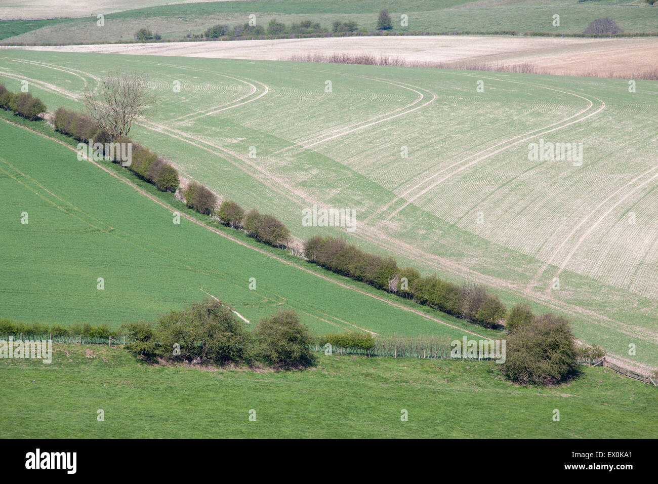 View across agricultural land above the village of Thixendale in the