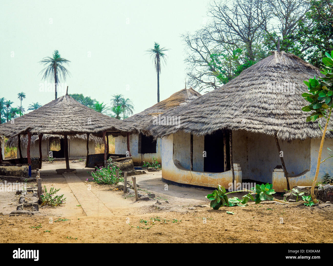 Reed thatched cottages, Tesito model compound, Juffureh village, Gambia, West Africa Stock Photo