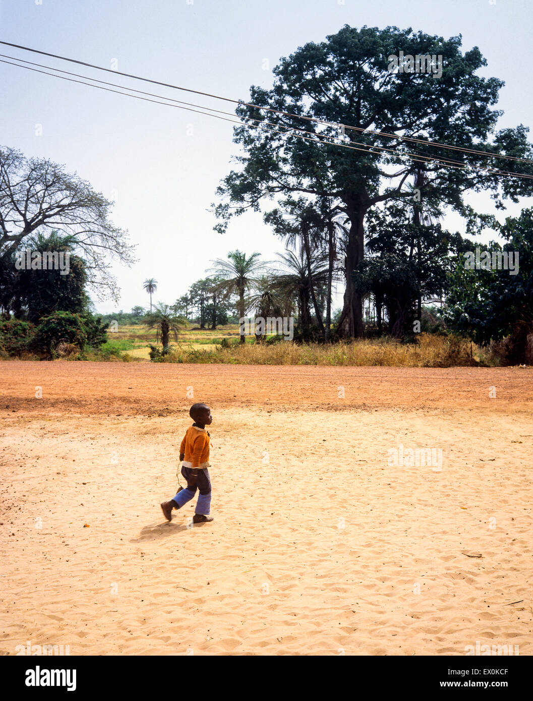 Little Gambian boy walking alone, Juffureh village, Gambia, West Africa Stock Photo