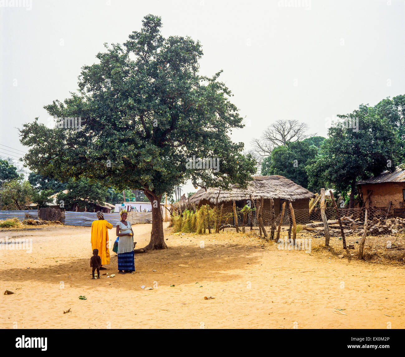 Two Gambian women and little boy, Jufureh village, Gambia, West Africa Stock Photo