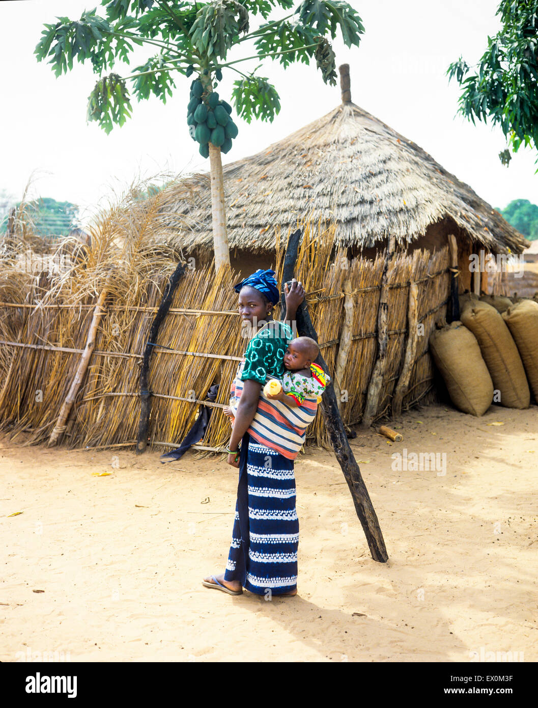 Young Gambian woman carrying baby on her back, Juffureh village, Gambia, West Africa Stock Photo