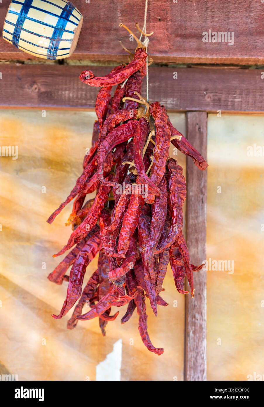 Перец острый сушеный. Перец сушеный на нитке. Перец острый сушеный. Сушеный перец болгарский в сушилке. Сушка перца чили.