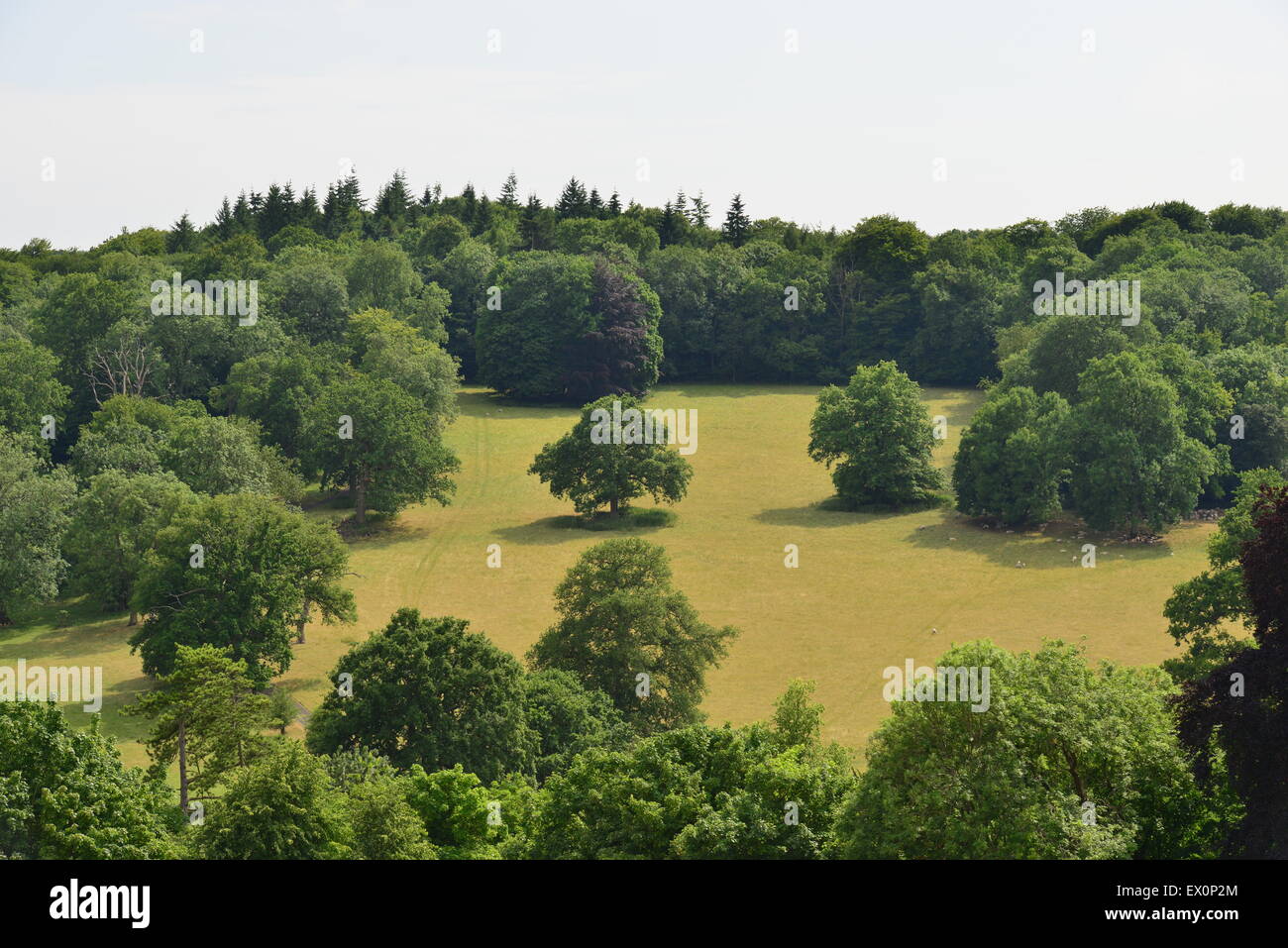 The rolling hills and English Countryside in Summer Stock Photo