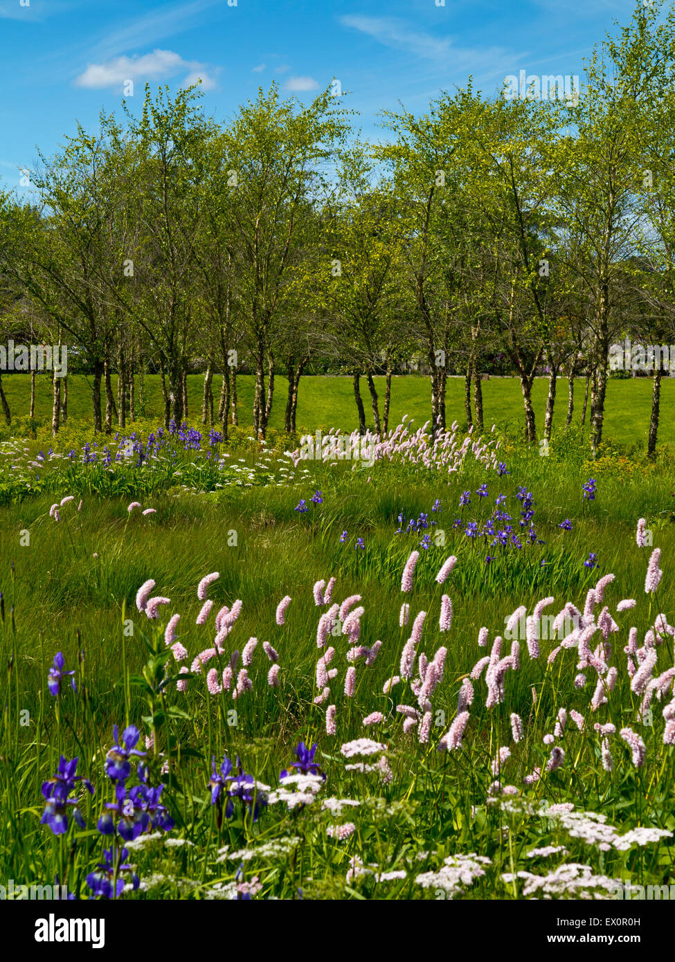 Trentham gardens rivers of grass hires stock photography and images
