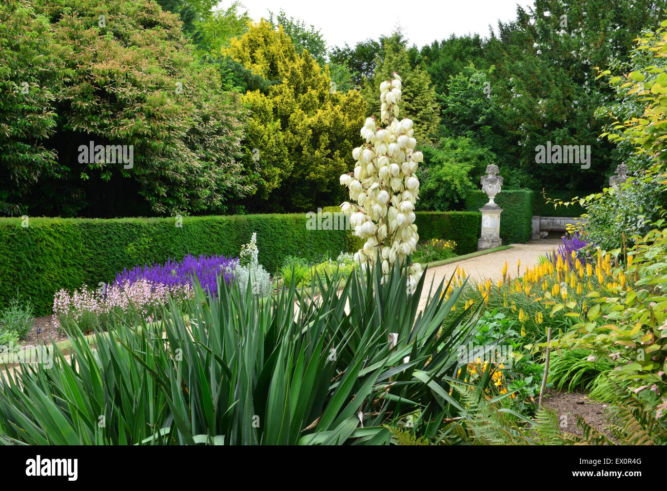 An English country garden in the summer of June 2015 Stock Photo - Alamy