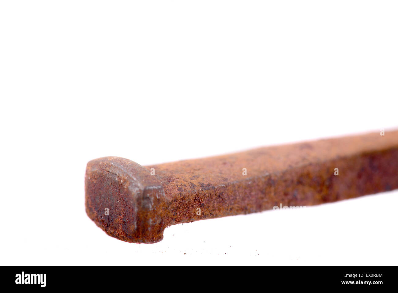 Image of Close Up Of Rusty Iron Nails Aligned On An White Isolated  Background-LJ453969-Picxy