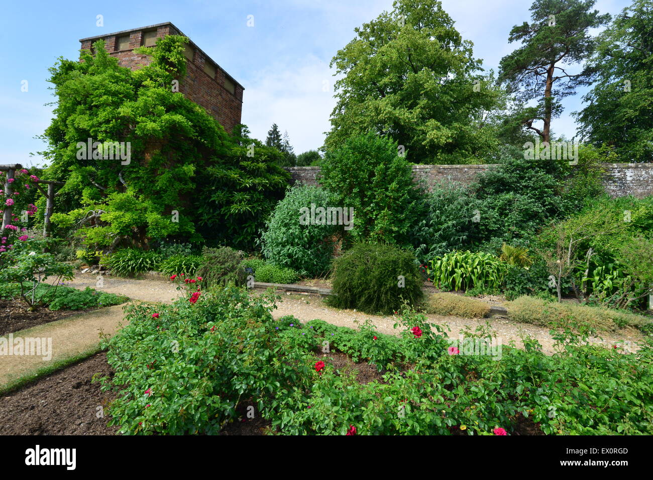 An English country garden in the summer of June 2015 Stock Photo - Alamy