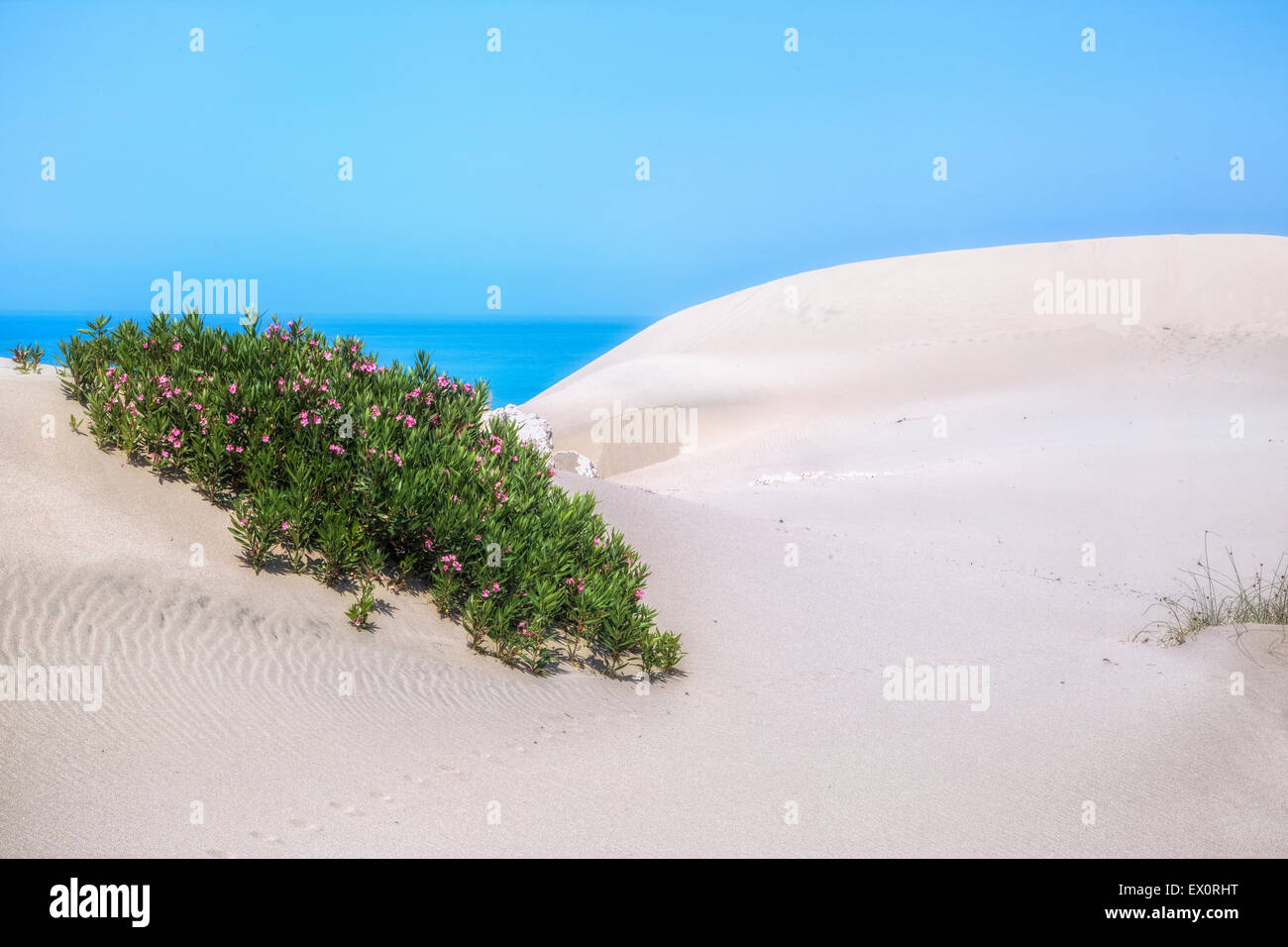 Patara beach, Lycia, Kalkan, Antalya, Turkey Stock Photo