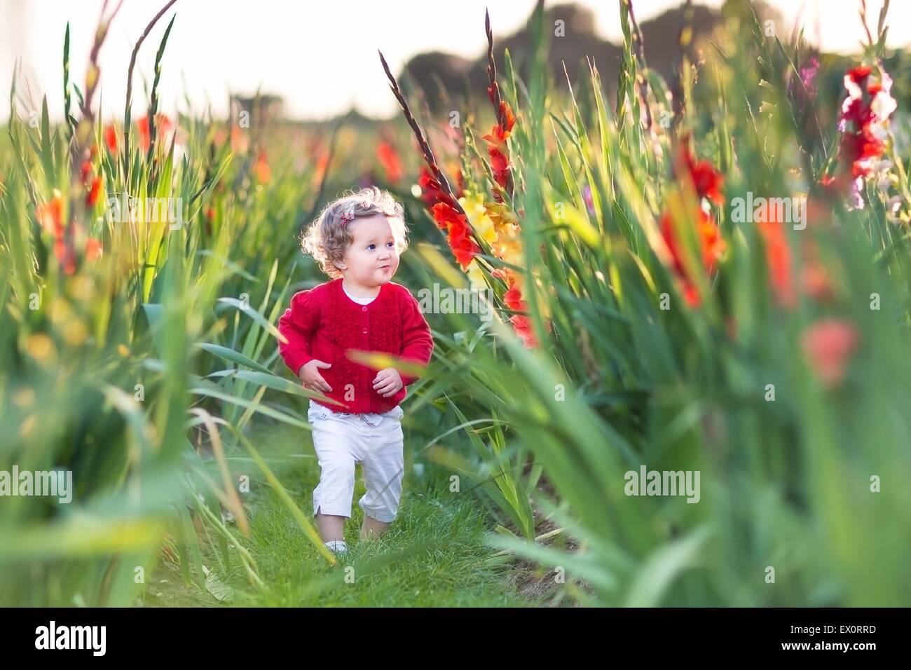 Cute little baby girl walking in a field on flowers on a farm on a nice ...