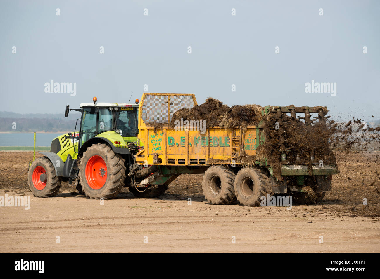 Muck being spread onto agricultural land Stock Photo Alamy