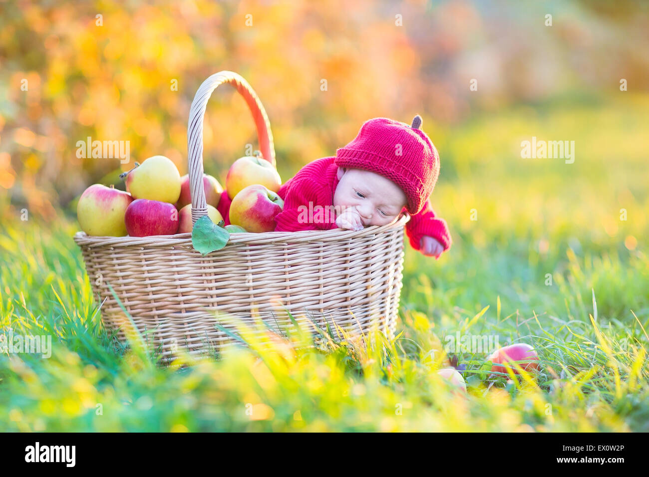 big baby basket