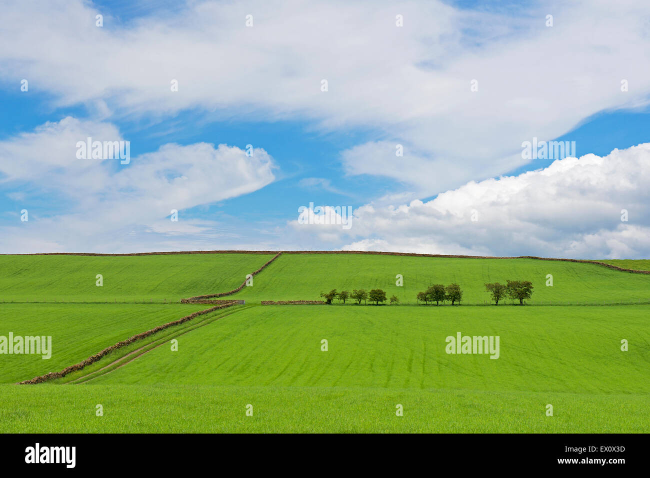 The eden valley hires stock photography and images Alamy