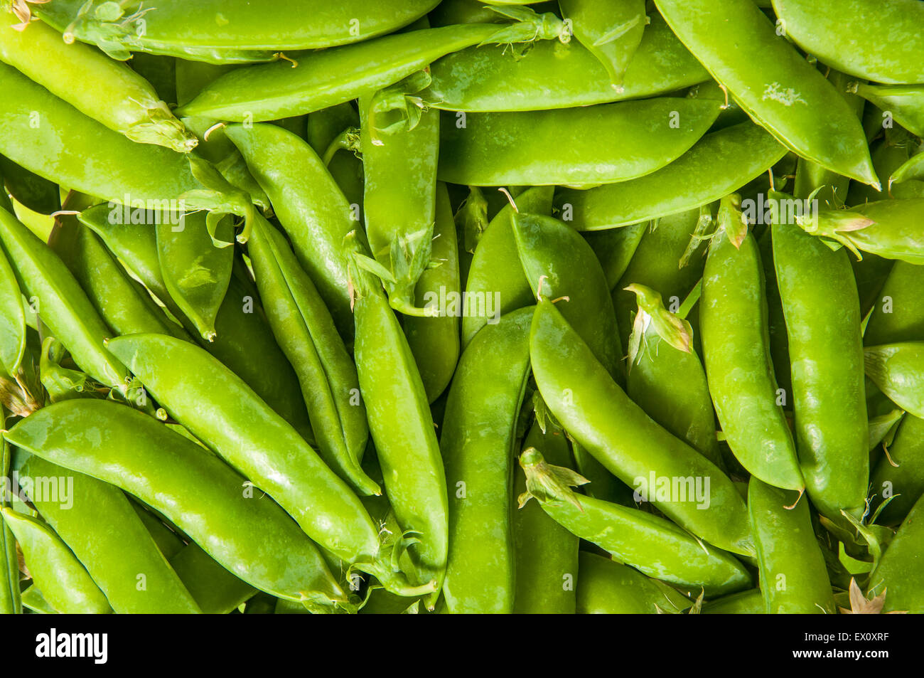 Abstract background of young green peas in the pod Stock Photo