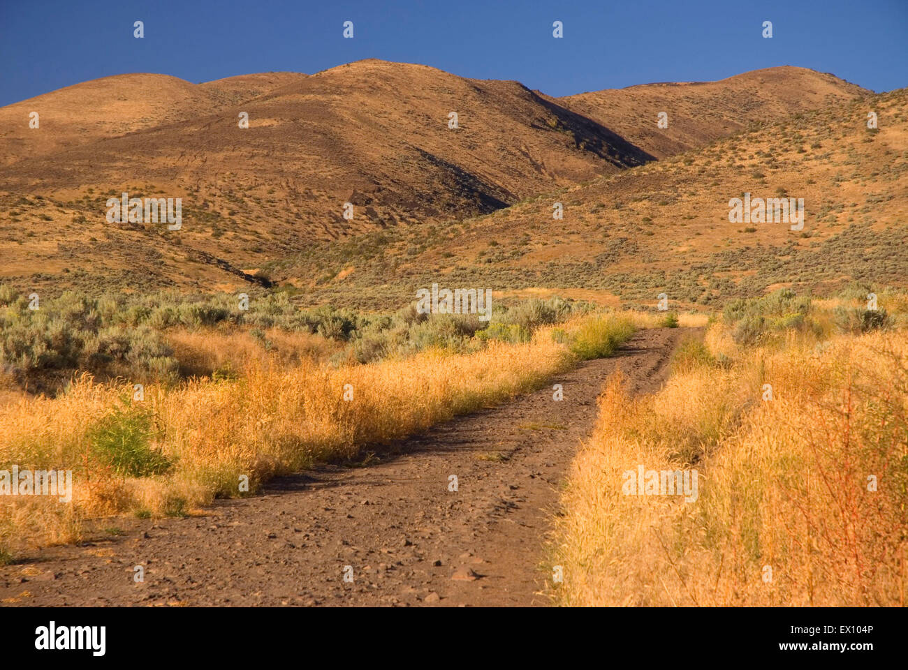 Ranch road, Wenas Wildlife Area, Washington Stock Photo - Alamy