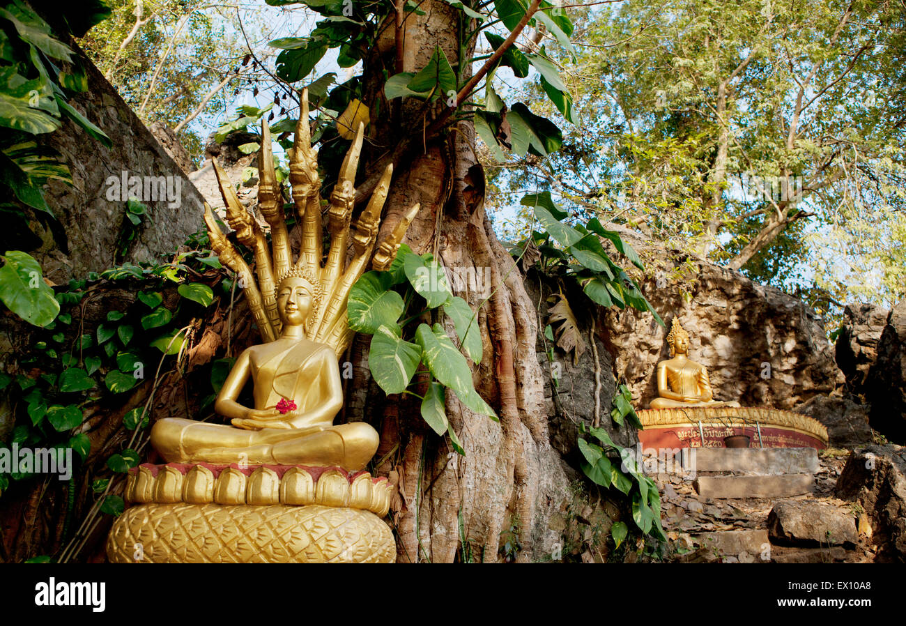 These golden statues on the Ban Khamyong side of Mount. Phou Si. depict the 7 positions of Buddha. Stock Photo