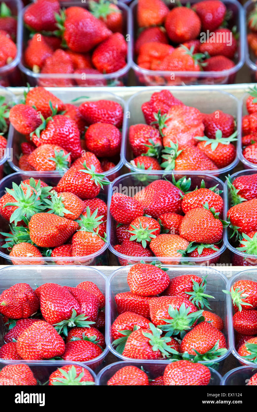 Strawberries, farmers market, Bruges, Belgium Stock Photo