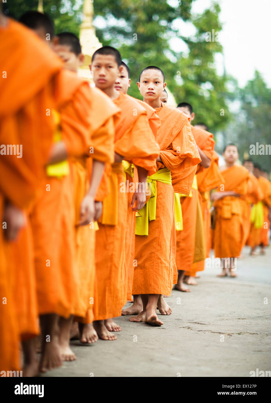 Monks processing for alms in the early morning, a 1,000-year old tradition in Luang Prabang, Laos.. Stock Photo